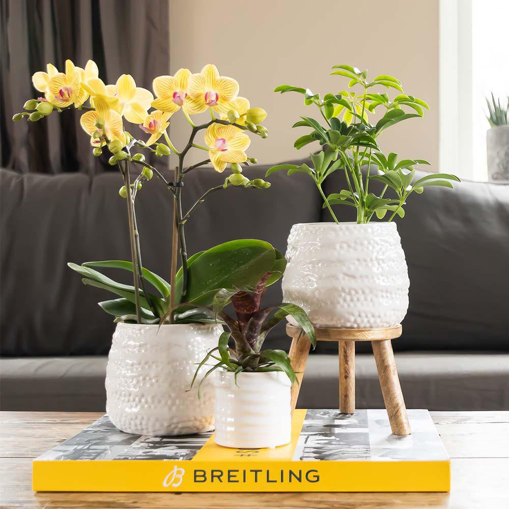 Handgemaakte Keramieken Bloempot Wit Ø9 cm