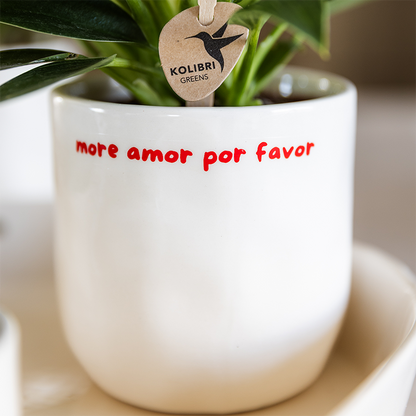 Decorative Pot White with 'To the moon and back' Text (Ø9 cm)