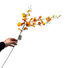Kunstbloem Oncidium oranje 97 cm
