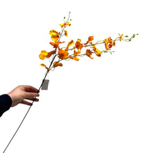 Kunstbloem Oncidium oranje 97 cm