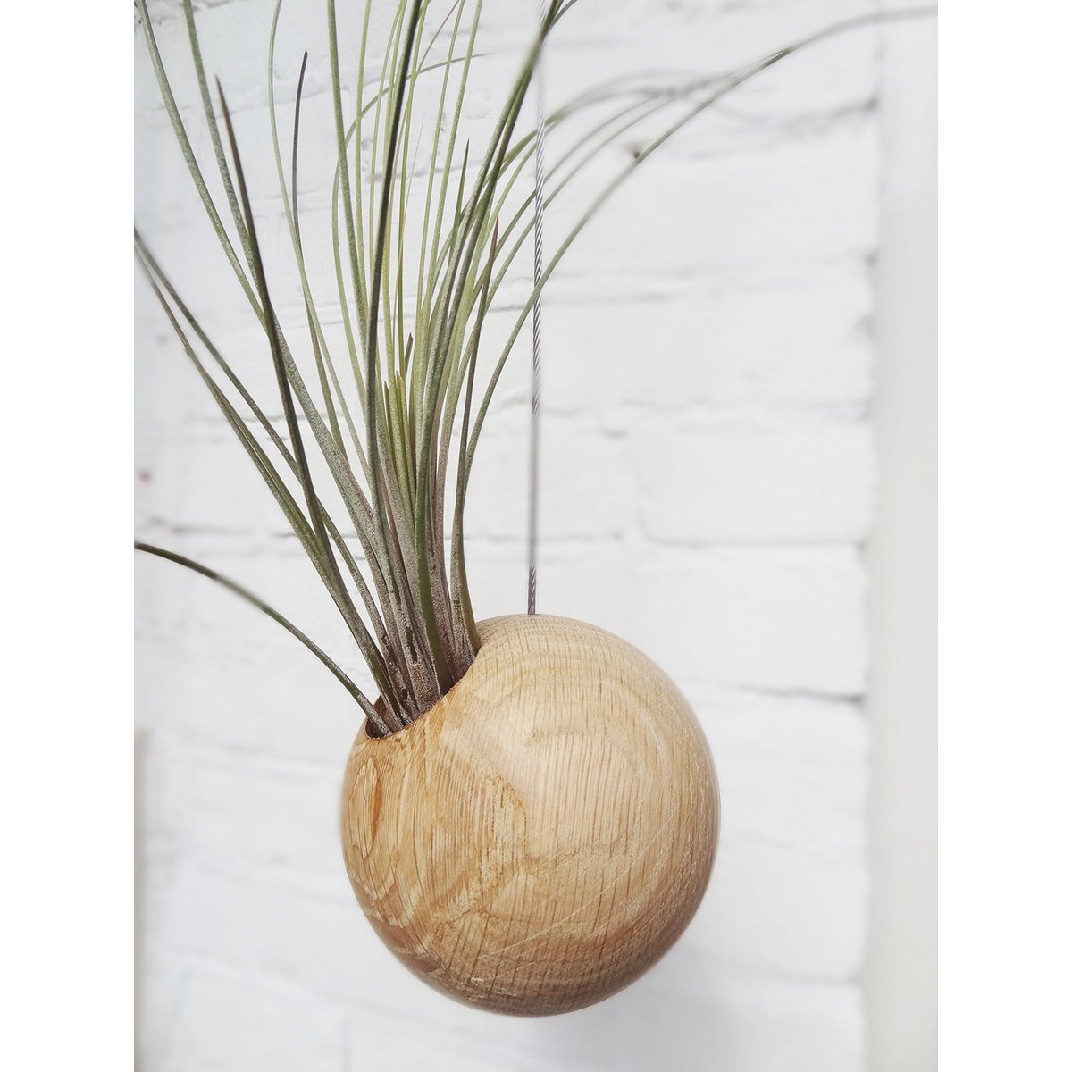 Hangbol licht eiken Ø10 cm