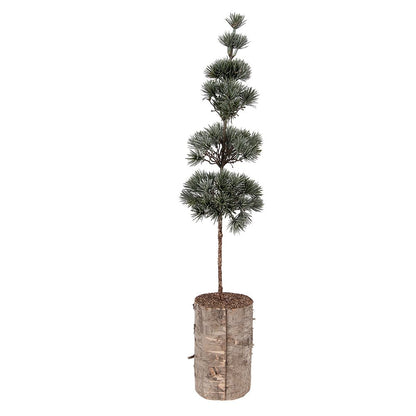 Mini Kunstkerstboom 14x14x60 cm Groen Hout