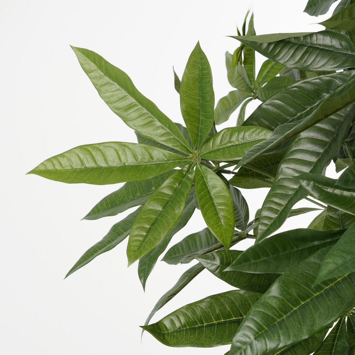 Kunstplant Pachira 120x50 cm groen