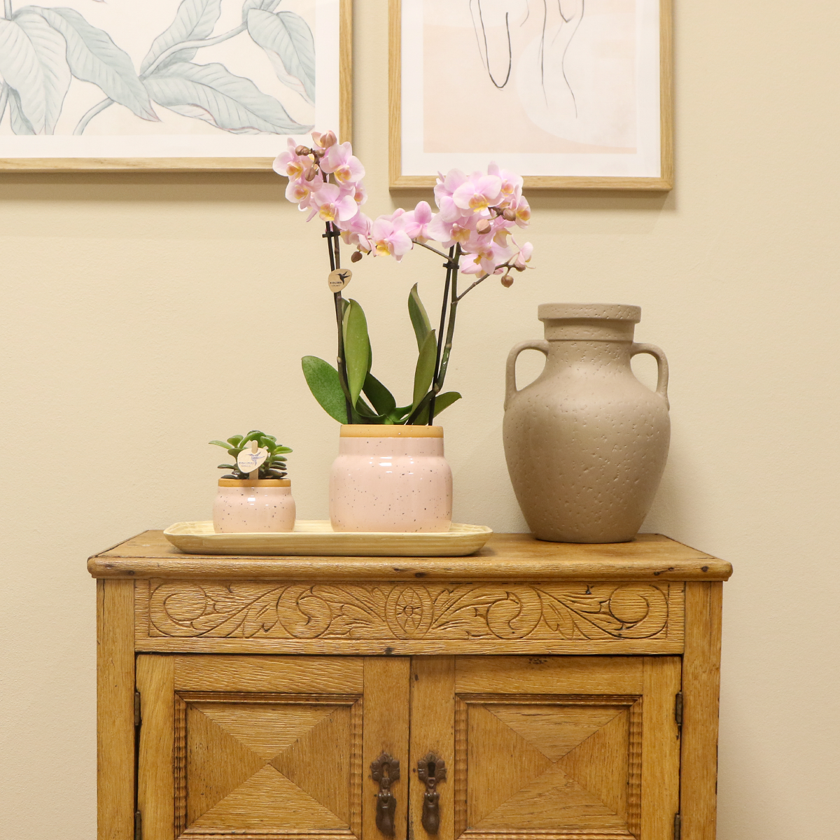 Plantenset met Roze Orchidee, Succulent, Vintage Witte Potten en Bamboe Dienblad