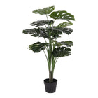 Monstera - Green, PE plastic/polyester/wire/cement, 17x18x90 cm