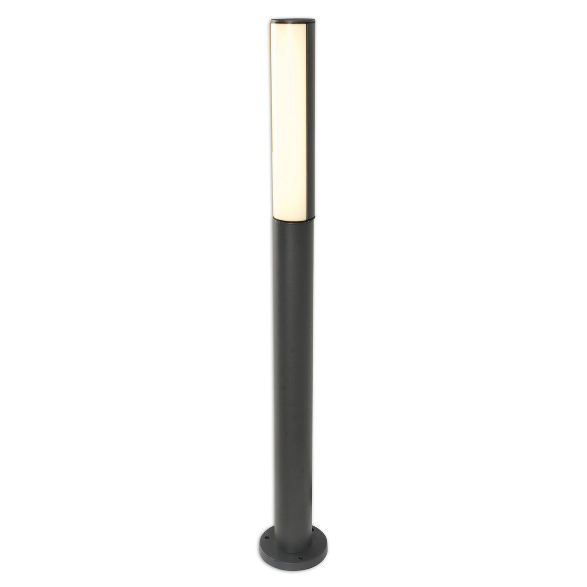 LED buitenlamp 90 cm antraciet metaal plastic