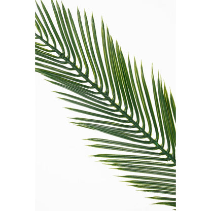 Kunstplant Cycas Palm 150 cm Ø100 cm groen