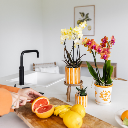 Sierpot keramiek oranje streep Ø9 cm