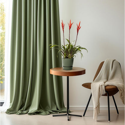 Kamerplant Vriesea Elan Toef Ø12cm ↕55cm