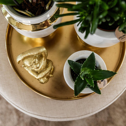 Dienblad rond 30 cm goud massief