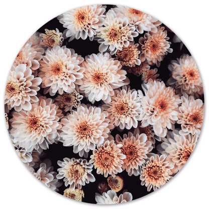 Muurcirkel Flower Bomb Dibond/Forex