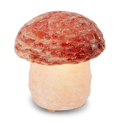 Himalaya Zoutlamp Paddestoel 16 Cm Hoog Handgemaakt
