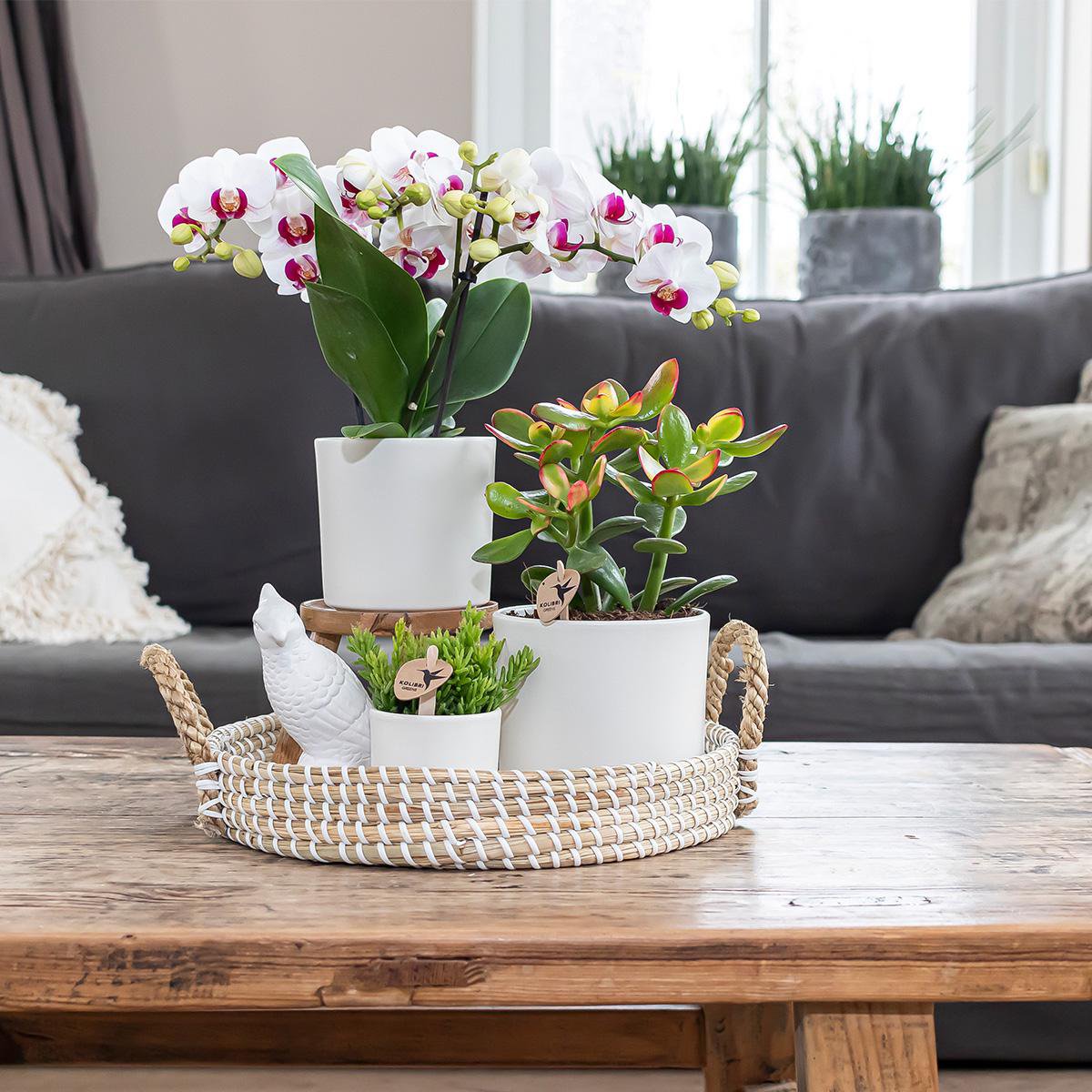 Sierpot rond keramiek wit 6 cm