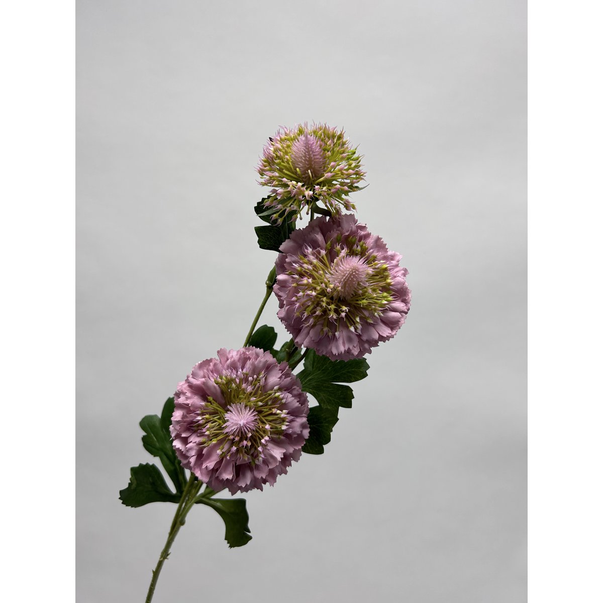 Kunstbloem Scabiosa 80 cm wit 2 stuks