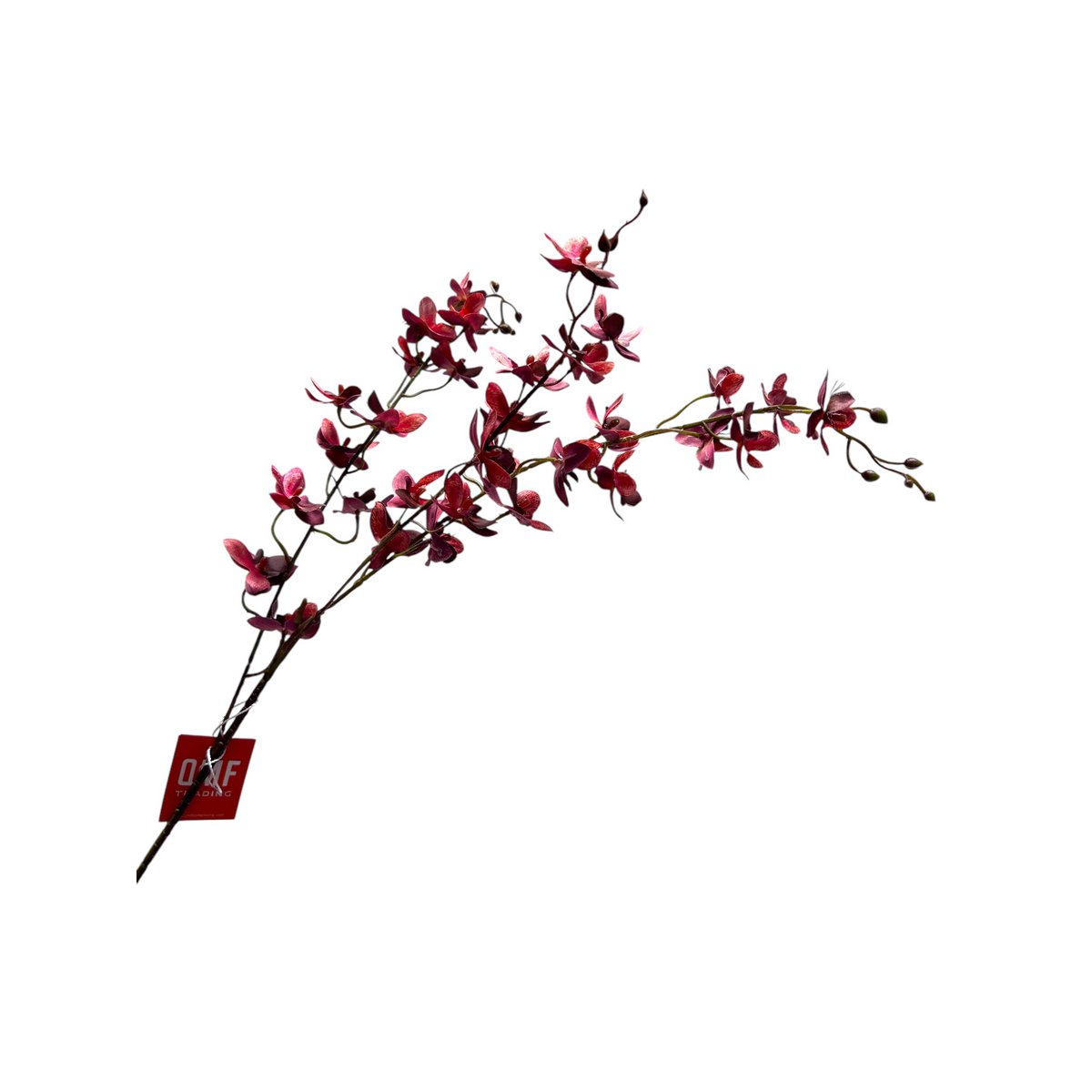 Red Phalaenopsis | Artificial Silk Flower | Length 100cm 1pc