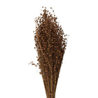Droogboeket 60 cm beige