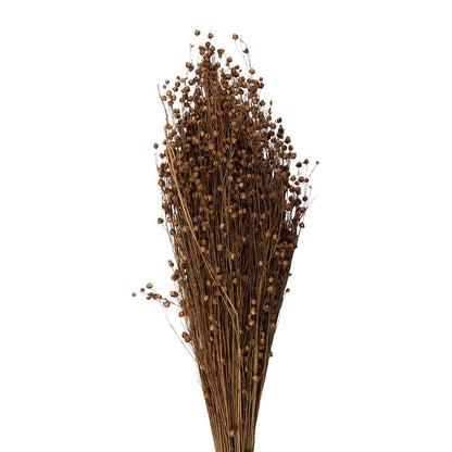 Droogboeket 60 cm beige