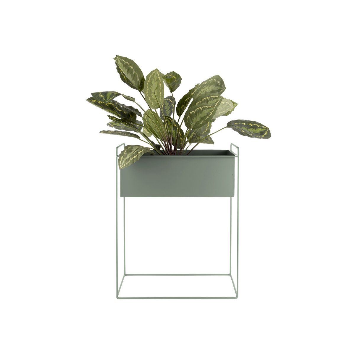 Plant Pot Set Essence Straight