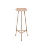 Plantentafel 80x30 cm metaal lichtroze