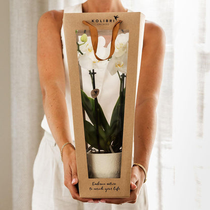 Cadeautasje orchidee 9 cm pot wit