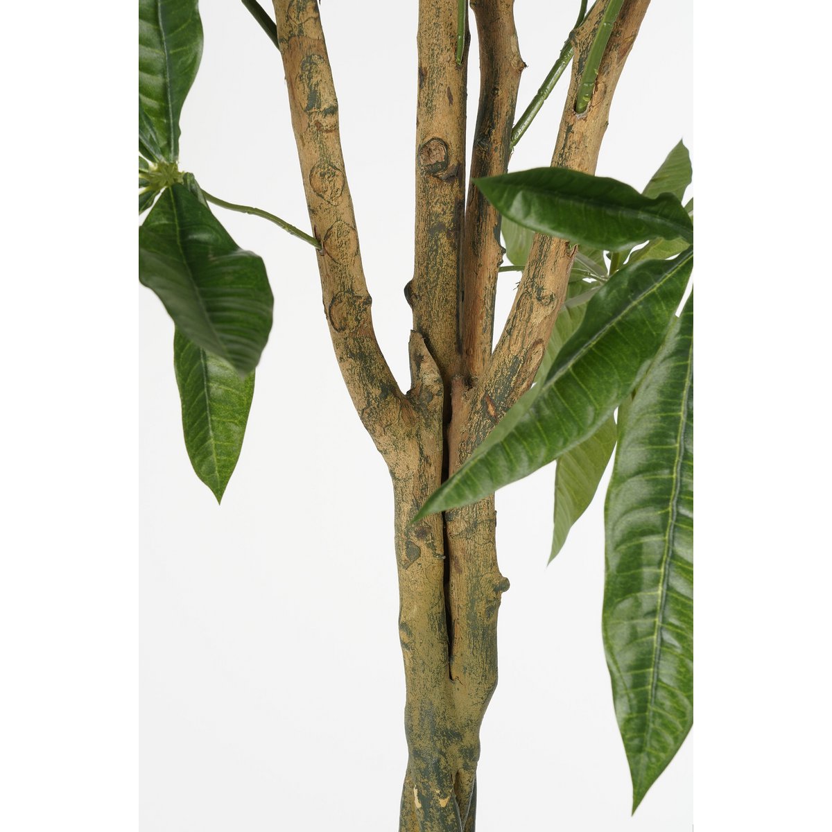 Kunstplant Pachira 120x50 cm groen