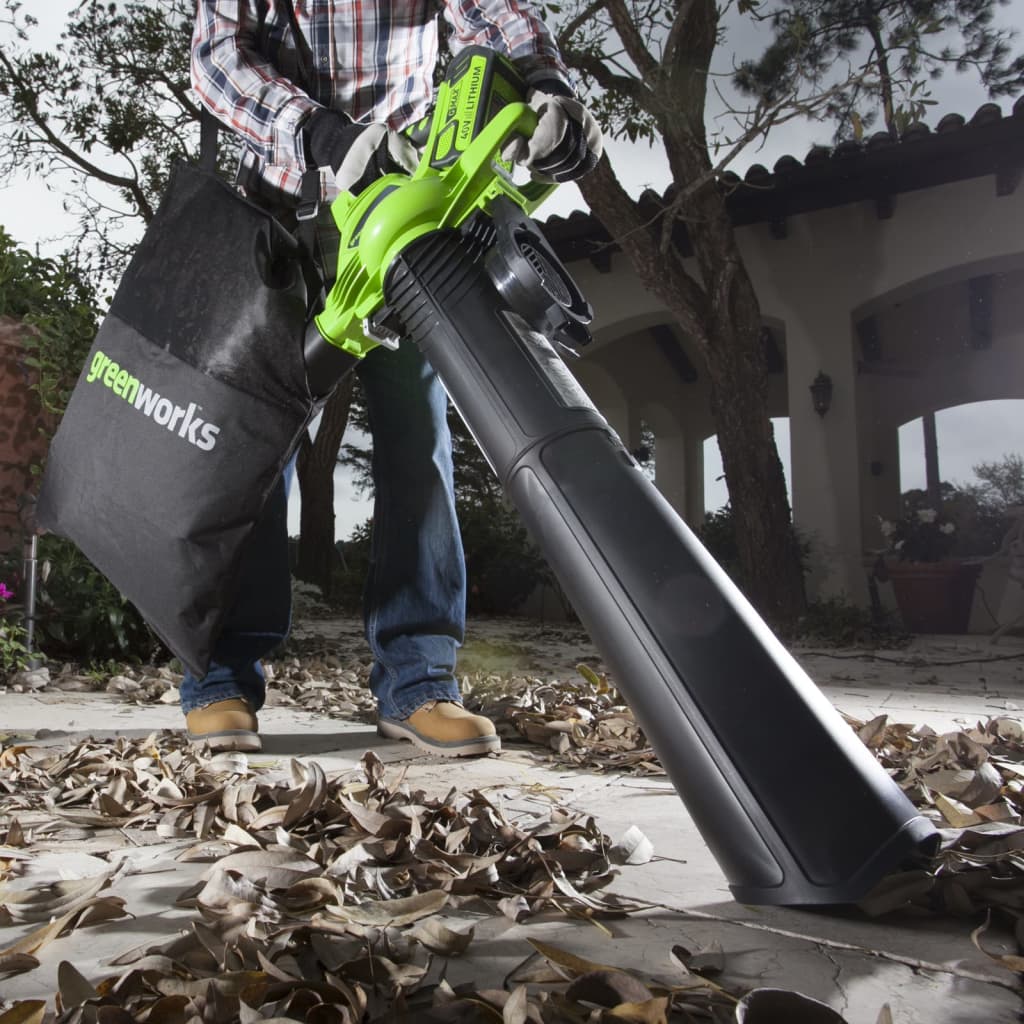 Greenworks Bladblazer/-Zuiger 40 V Groen