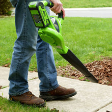 Greenworks Bladblazer/-Zuiger 40 V Groen