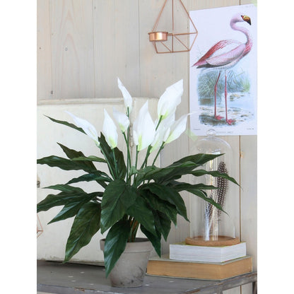 Kunstplant Spathiphyllum 50 cm wit
