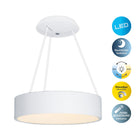LED Pendant Light Carla 45 cm Dimmable and Delivered Complete