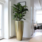Plantenpot Kentucky gold Ø47xH100 cm fiberstone