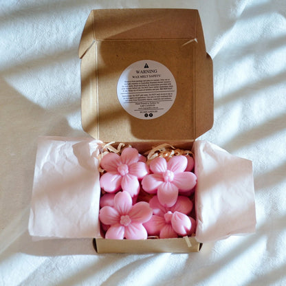 Waxmelts kersenbloesem 6 stuks koolzaadwas