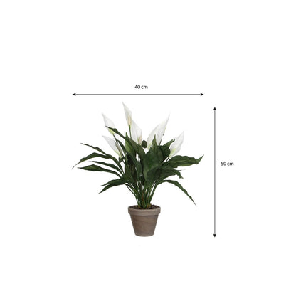 Kunstplant Spathiphyllum 50 cm wit