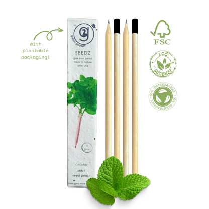 Bloeipotlood munt met plantbare verpakking
