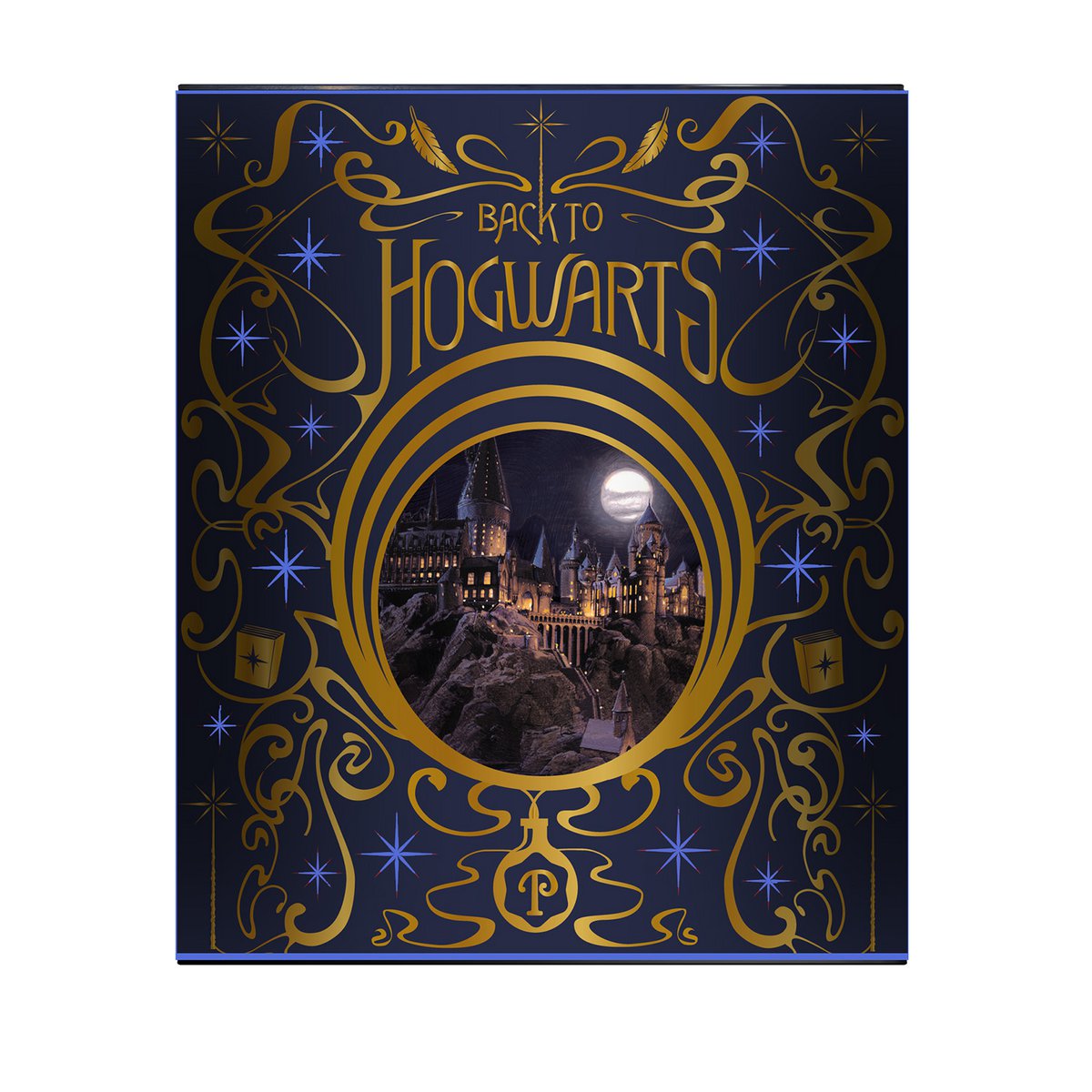 Harry Potter - Light-up Lantern