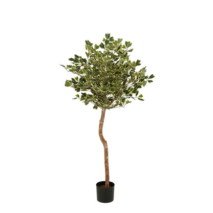 Kunstplant Ficus Triangularis 150 cm groen