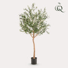 Kunst Olijfboom 180 cm groen zilver