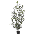 Kunstplant eucalyptus 150 cm groen