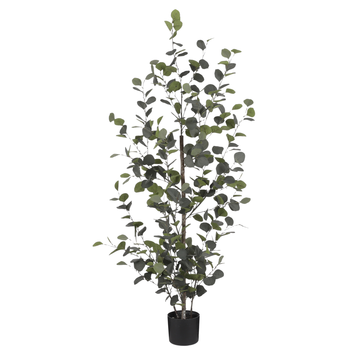 Kunstplant eucalyptus 150 cm groen