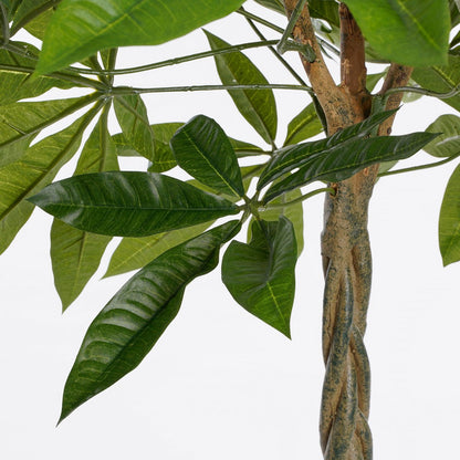 Kunstplant Pachira 80x60 cm echt houten stam
