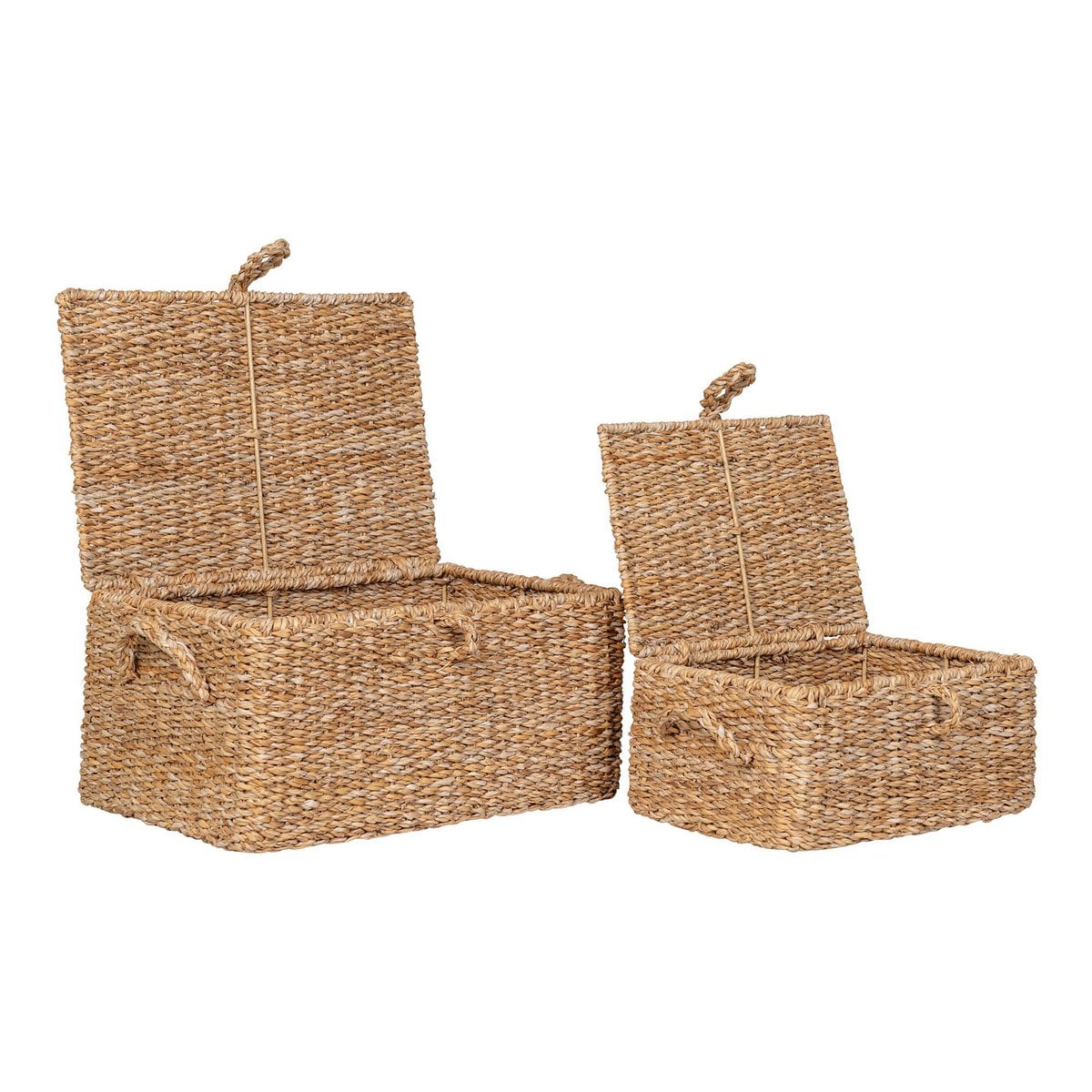 Opbergmanden set van 2 zeegras ijzer naturel