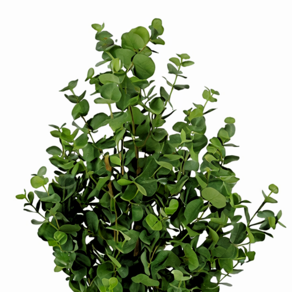 Kunstplant eucalyptusboom 140 cm groen