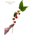 Kunstbloem Physalis Peruviana oranje 95 cm