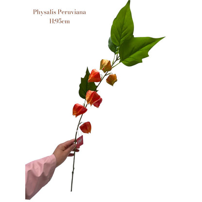 Kunstbloem Physalis Peruviana oranje 95 cm