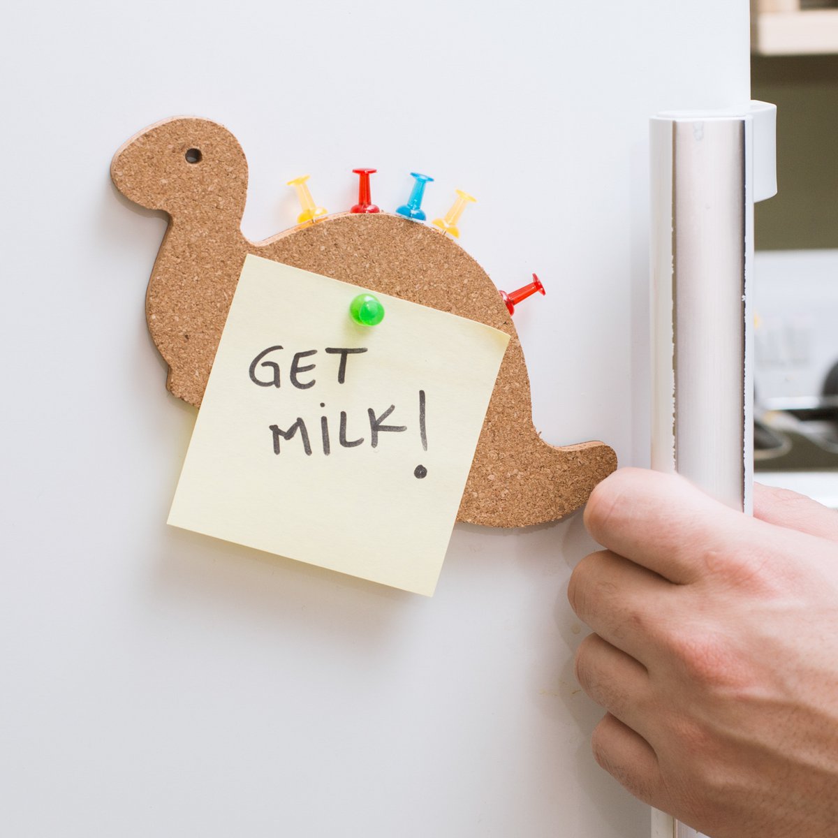 Magnetic Cork Board - Dinosaurs