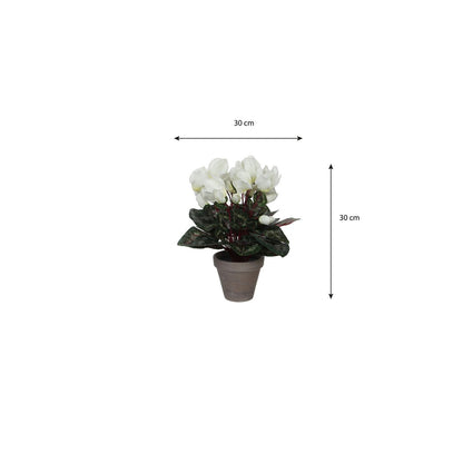 Kunstplant Cyclamen wit 30x30 cm