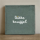 Tegeltje 10x10 cm dikke knuffel