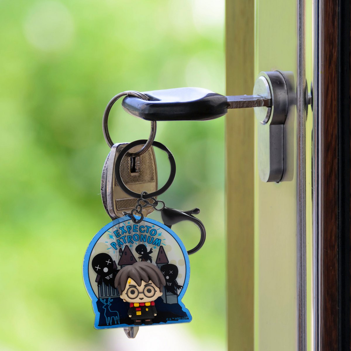 Harry Potter sleutelhanger acryl