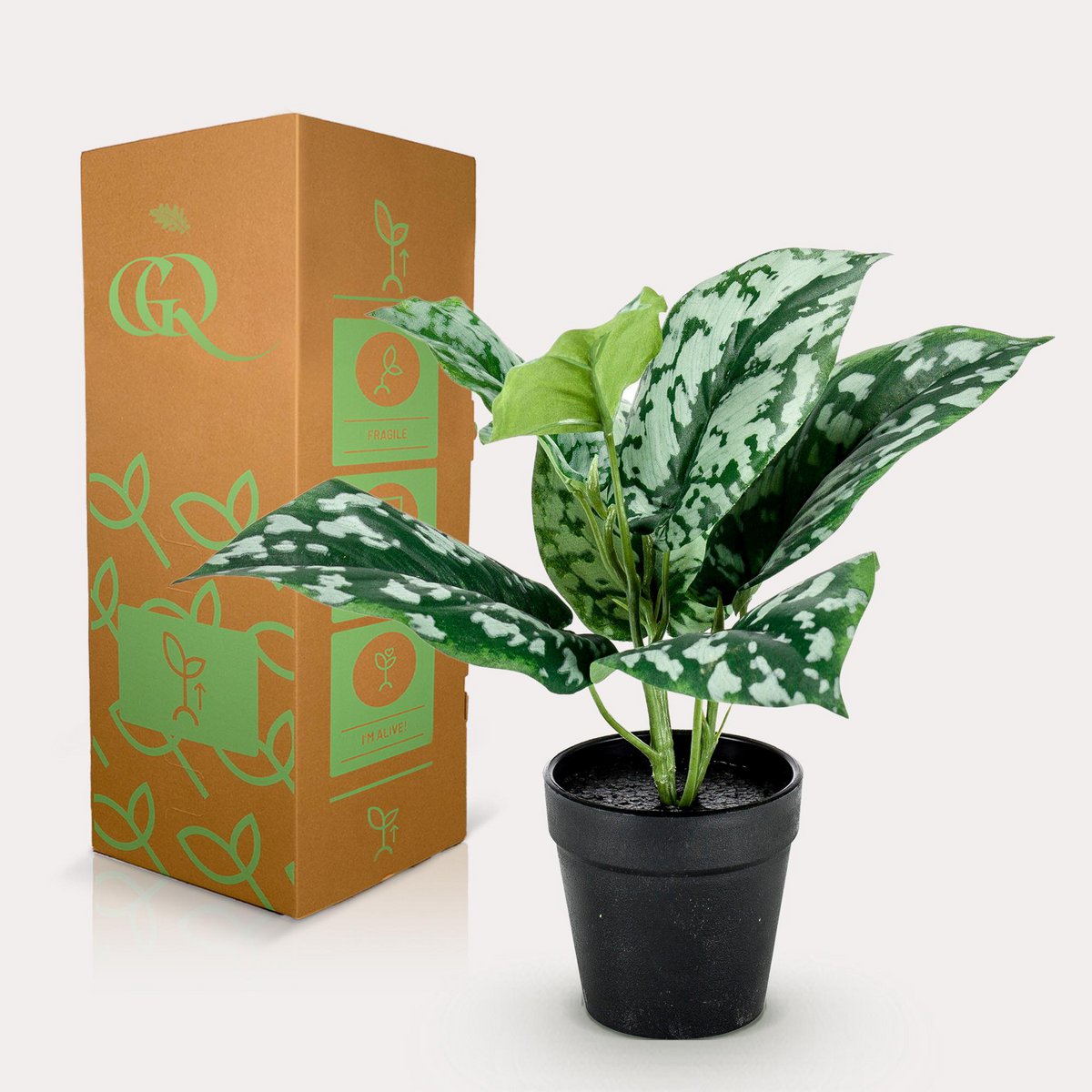 Artificial plant - Scindapsus Pictus - Lucky plant - 30 cm