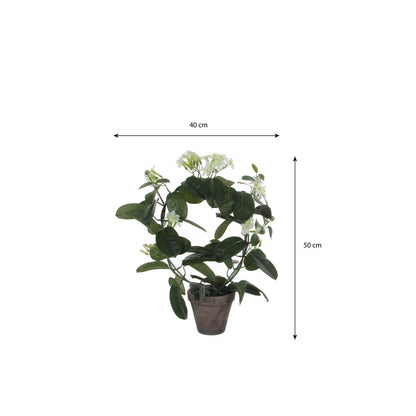 Kunstplant Stephanotis 50x40 cm wit