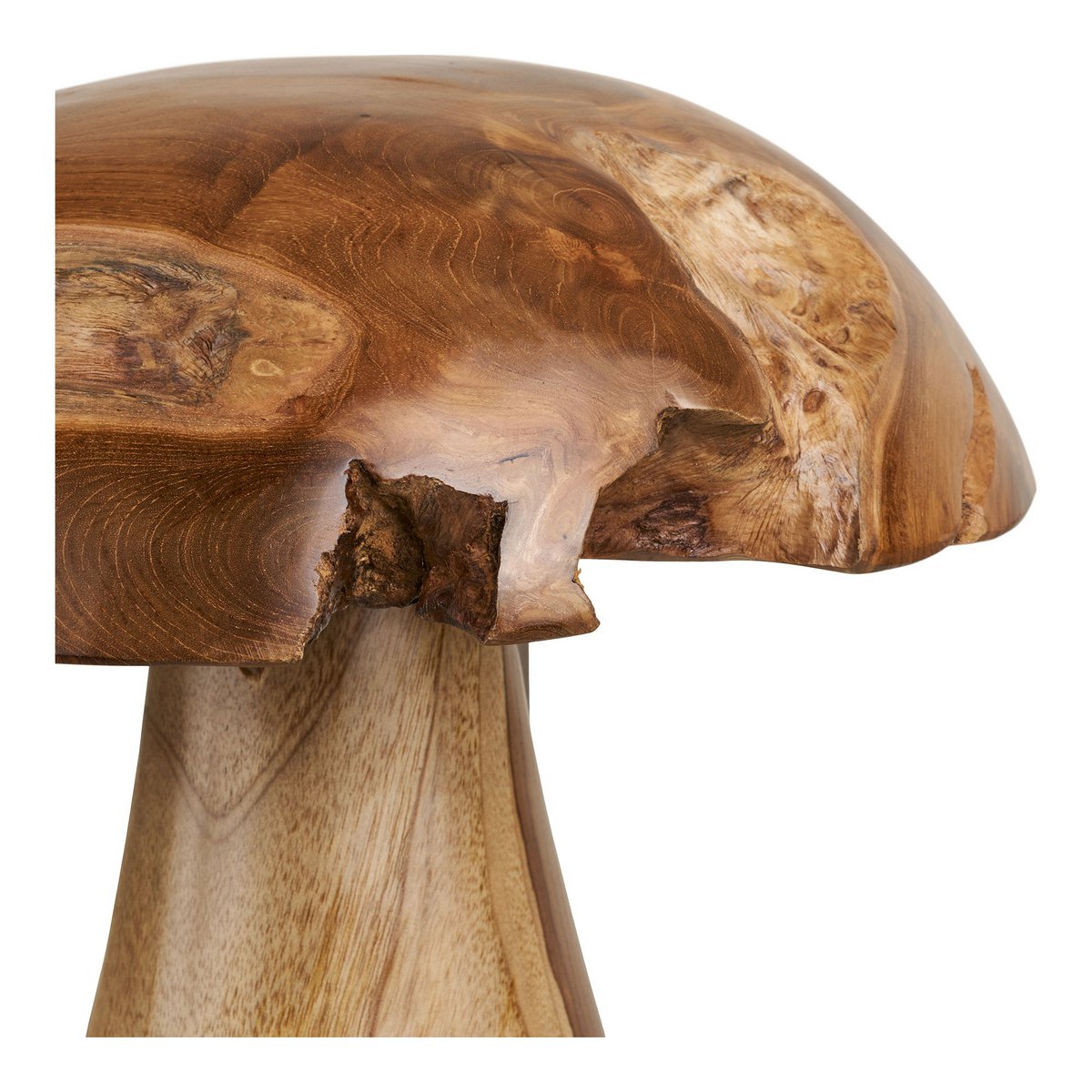 Decoratie paddestoelen set van 2 teakhout naturel